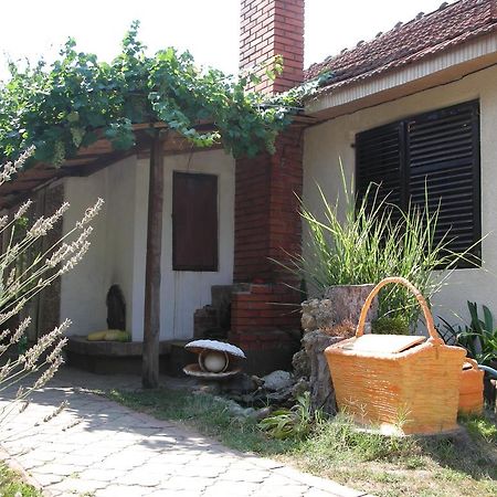 Apartamento Przic House Negotin Exterior foto