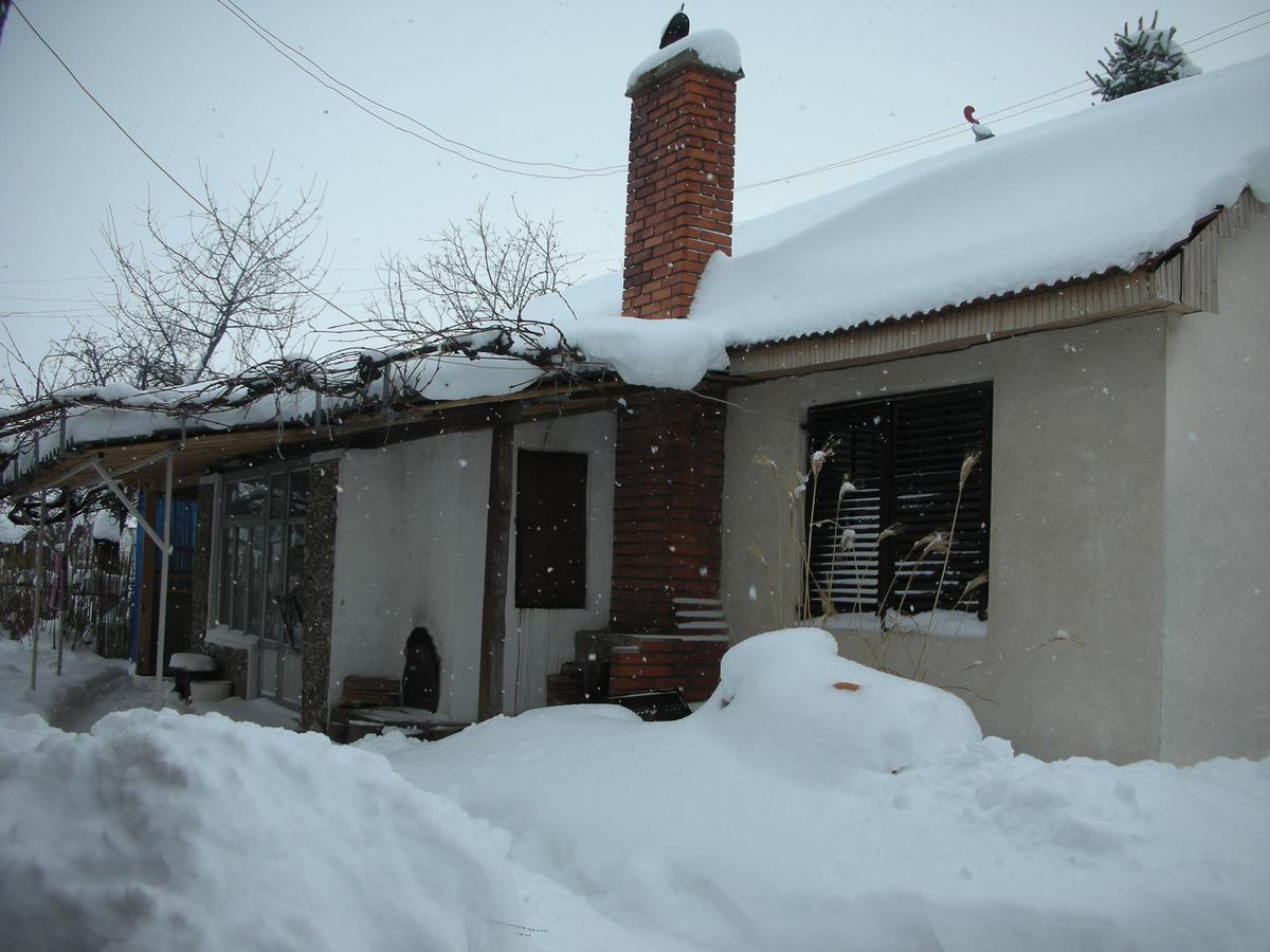 Apartamento Przic House Negotin Exterior foto